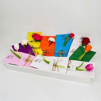 9833 - صورة 3