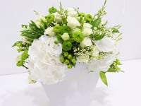 3726 - Image 2