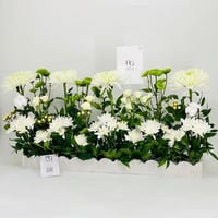 9849-209 - Image 3