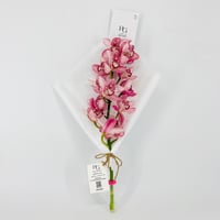 14271 - صورة 1