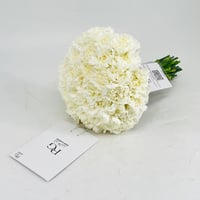 3009-178 - صورة 2