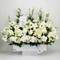 6836-86 - صورة 1
