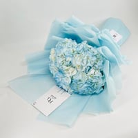 8681-587 - صورة 2