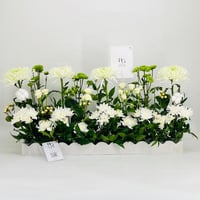 9849-209 - Image 1