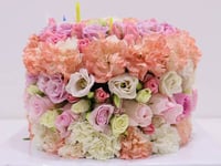 3080-215 - صورة 3