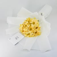 14278 - صورة 3
