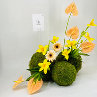 11707 - صورة 2