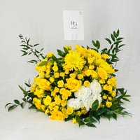 12067 - صورة 2