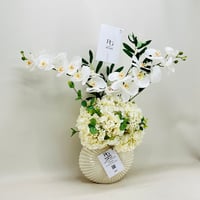 7219 - صورة 2