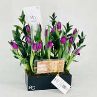 11596 - صورة 2