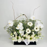 8873-626 - Image 1