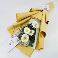 5631 - Image 2