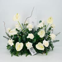8986 - صورة 1