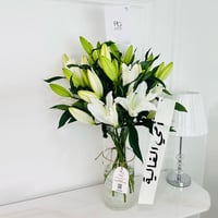 11848 - Image 1