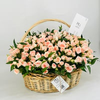 12372-836 - صورة 3