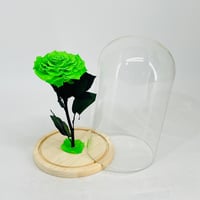 11239-183 - Image 2