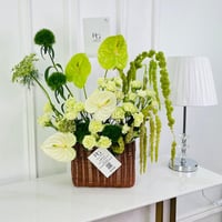 16613 - صورة 2