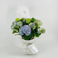 9527-797 - صورة 2