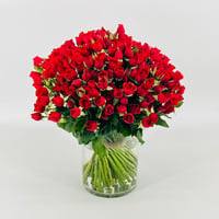 13184 - صورة 3