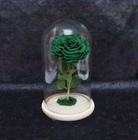 2204 - صورة 1