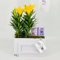 12828 - Image 4