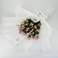 7522 - صورة 4