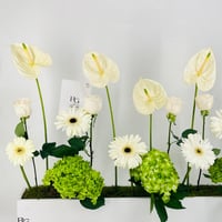 12672-815 - صورة 4