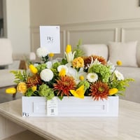 27815 - Image 1