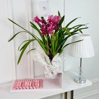 17203 - صورة 1