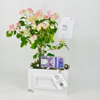 12455 - Image 2