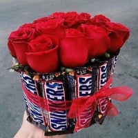 2573-548 - صورة 1