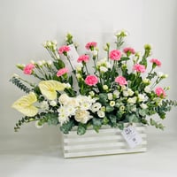 10134-298 - صورة 2