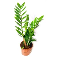940-328 - صورة 1