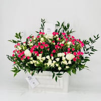 8334-117 - صورة 3