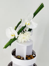 12250 - Image 4