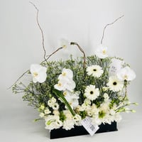 8873-599 - صورة 2