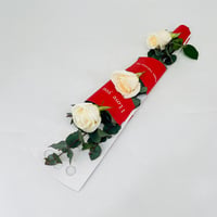 11633 - صورة 2