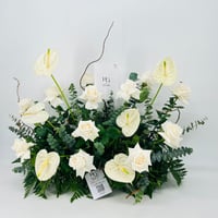 8986 - صورة 3
