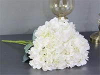 4288 - Image 1