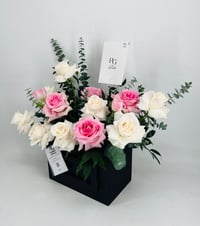 8737 - صورة 2