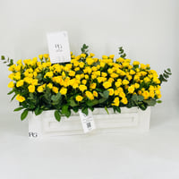 11619-725 - صورة 2
