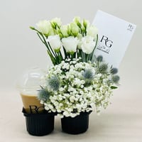 3766-51 - صورة 2