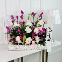 17052 - Image 1