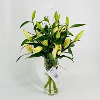 9298-278 - صورة 2