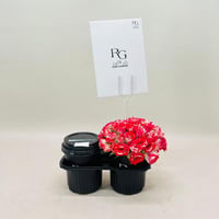 3764 - Image 4