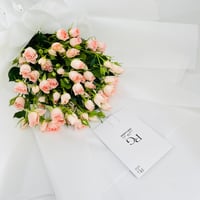 10536 - Image 3