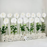 11802 - Image 2