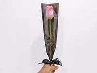 38-05 - صورة 2