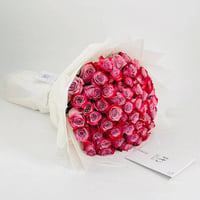 4984-337 - صورة 1