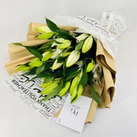 14015 - Image 2